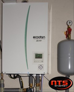 DSC09580.JPG (645x800)